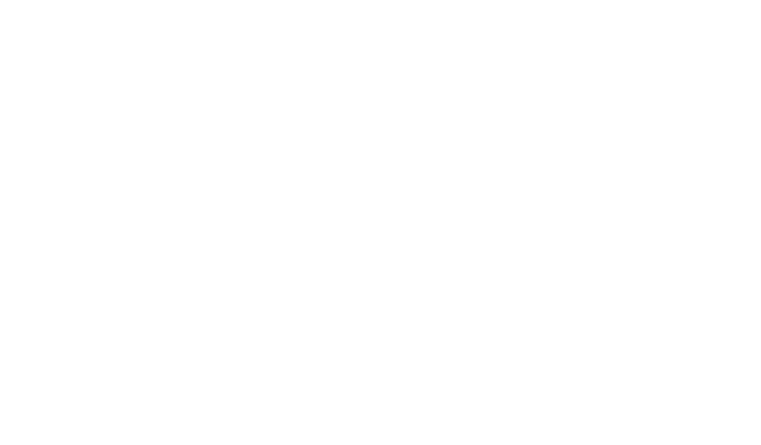 Bourbon Orleans logo