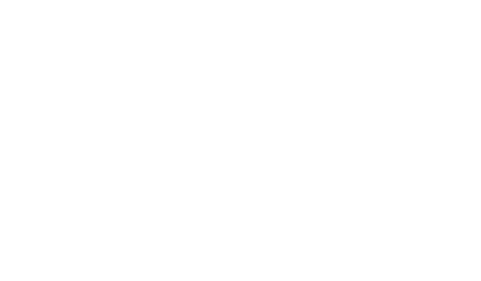 Bourbon Orleans logo